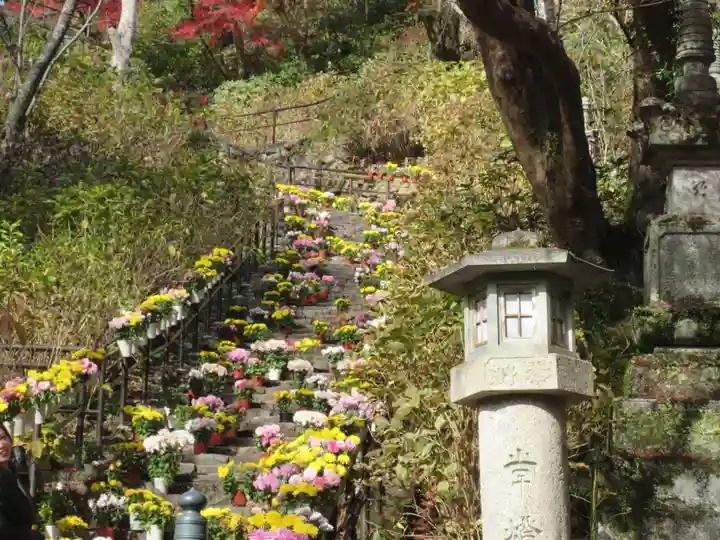 長谷寺(奈良県)