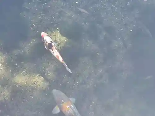 涌釜神社(栃木県)