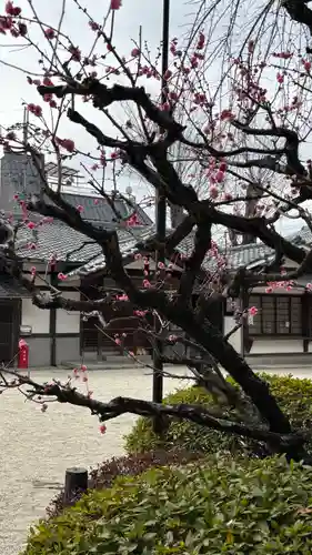 久我神社（賀茂別雷神社摂社）(京都府)