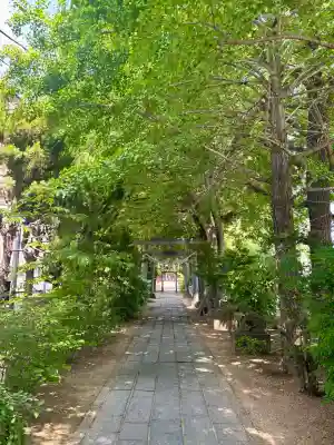 越谷香取神社の{uncategorized: "未分類", other: "その他", undefined: "問題あり", building: "その他建物", grave: "お墓", sacred_gate: "鳥居", guardian: "狛犬", statue: "像", buddha: "仏像", history: "歴史", nature: "自然", garden: "庭園", animal: "動物", pagoda: "塔", temizu: "手水舎", mountain_gate: "山門・神門", sanctuary: "本殿・本堂", subordinate: "末社・摂社", art: "芸術", scenery: "景色", jizo: "地蔵", ema: "絵馬", goshuin: "御朱印", omikuji: "おみくじ", items: "授与品その他", amulet: "お守り", goshuincho: "御朱印帳", eats: "食事", festival: "お祭り", votive_dance: "神楽", shichigosan: "七五三参", wedding: "結婚式", experience: "体験その他", initially: "初詣", around: "周辺", anti_infection: "感染症対策"}