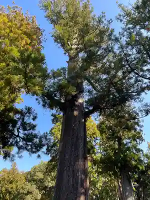 伊勢神宮外宮（豊受大神宮）(三重県)