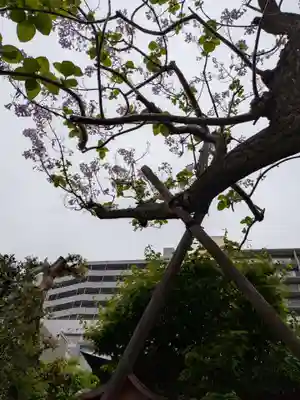 四谷於岩稲荷田宮神社(東京都)