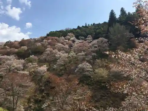 如意輪寺の景色