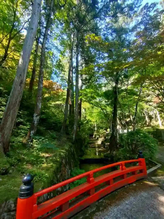 霊山寺の{uncategorized: "未分類", other: "その他", undefined: "問題あり", building: "その他建物", grave: "お墓", sacred_gate: "鳥居", guardian: "狛犬", statue: "像", buddha: "仏像", history: "歴史", nature: "自然", garden: "庭園", animal: "動物", pagoda: "塔", temizu: "手水舎", mountain_gate: "山門・神門", sanctuary: "本殿・本堂", subordinate: "末社・摂社", art: "芸術", scenery: "景色", jizo: "地蔵", ema: "絵馬", goshuin: "御朱印", omikuji: "おみくじ", items: "授与品その他", amulet: "お守り", goshuincho: "御朱印帳", eats: "食事", festival: "お祭り", votive_dance: "神楽", shichigosan: "七五三参", wedding: "結婚式", experience: "体験その他", initially: "初詣", around: "周辺", anti_infection: "感染症対策"}