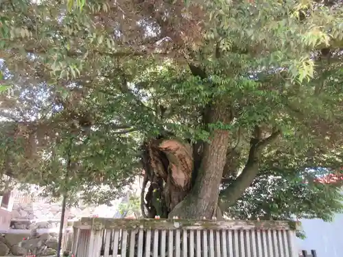 勝尾寺(大阪府)