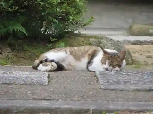 智恩寺(京都府)