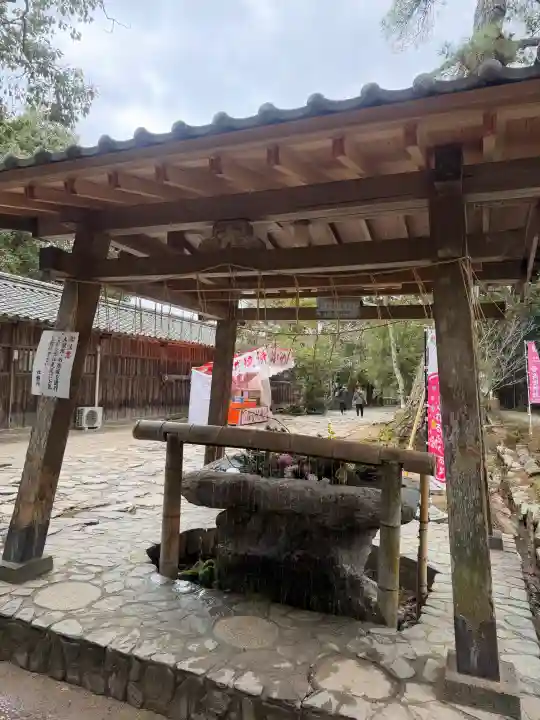 櫻井神社の{uncategorized: "未分類", other: "その他", undefined: "問題あり", building: "その他建物", grave: "お墓", sacred_gate: "鳥居", guardian: "狛犬", statue: "像", buddha: "仏像", history: "歴史", nature: "自然", garden: "庭園", animal: "動物", pagoda: "塔", temizu: "手水舎", mountain_gate: "山門・神門", sanctuary: "本殿・本堂", subordinate: "末社・摂社", art: "芸術", scenery: "景色", jizo: "地蔵", ema: "絵馬", goshuin: "御朱印", omikuji: "おみくじ", items: "授与品その他", amulet: "お守り", goshuincho: "御朱印帳", eats: "食事", festival: "お祭り", votive_dance: "神楽", shichigosan: "七五三参", wedding: "結婚式", experience: "体験その他", initially: "初詣", around: "周辺", anti_infection: "感染症対策"}