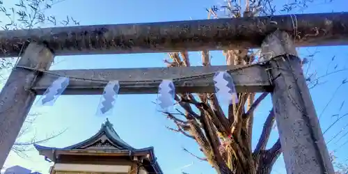 白幡八幡神社(東京都)