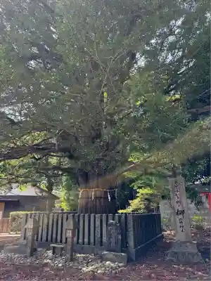 熊野速玉大社(和歌山県)