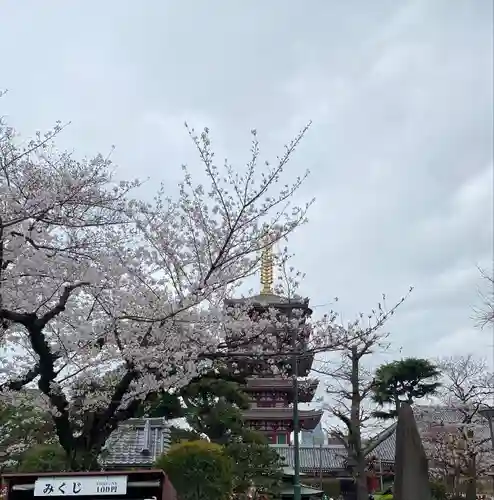 浅草寺(東京都)