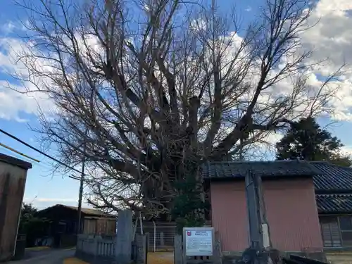 乳保神社(徳島県)