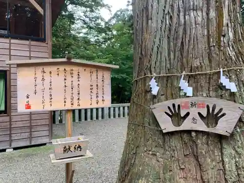 熊野神社のその他建物
