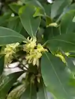 慶珊寺(神奈川県)