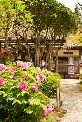 法雲寺(埼玉県)