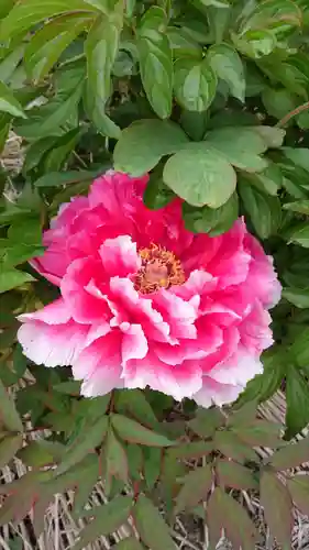 総持寺(滋賀県)