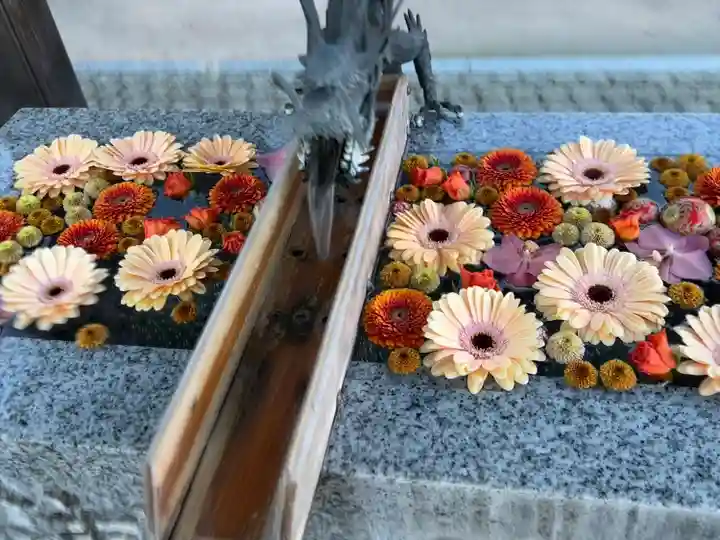 川越八幡宮(埼玉県)