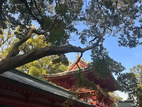 武蔵一宮氷川神社(埼玉県)
