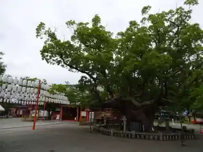 風浪宮のその他建物