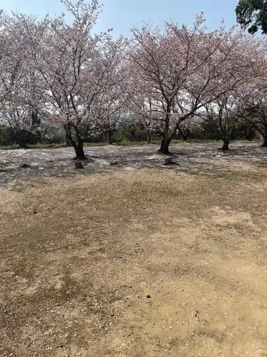貴船神社の自然