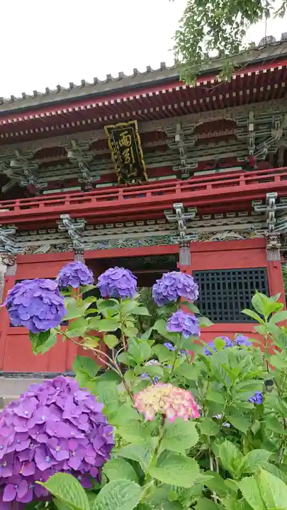 楽法寺(雨引観音)(茨城県)