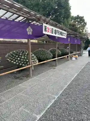 亀戸天神社(東京都)