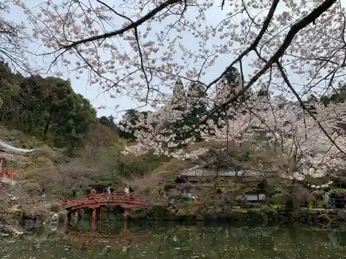 醍醐寺(京都府)