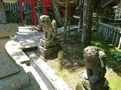 佐伎治神社の狛犬