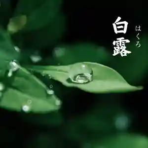 總社 和田八幡宮(福井県)(2022年09月12日(月) 21時30分38秒投稿)