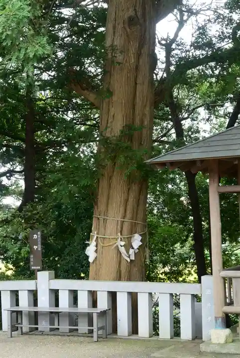 神鳥前川神社の自然