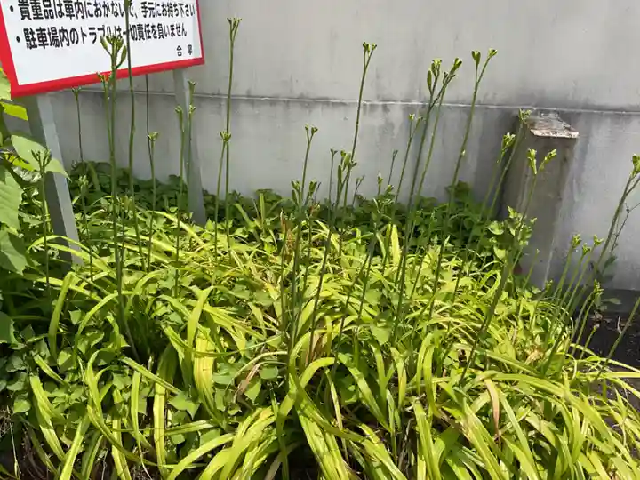 間々観音(龍音寺)(愛知県)