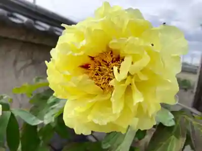 真言宗　善通寺派　薬王寺の自然