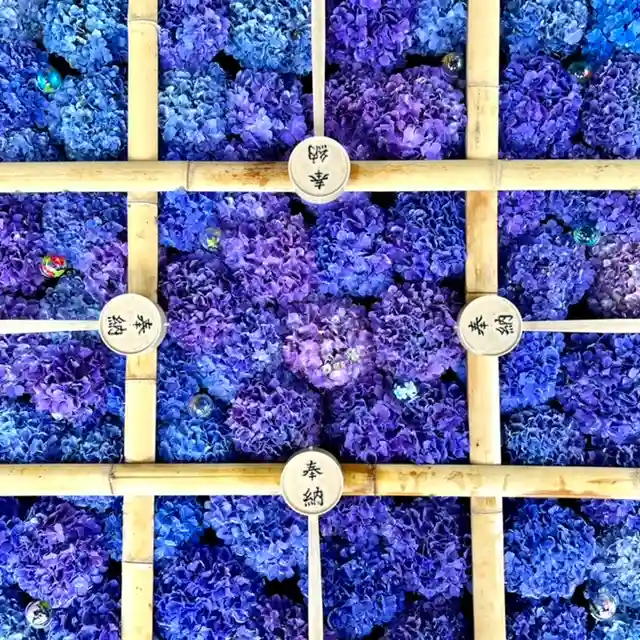 土津神社|こどもと出世の神さまの手水舎