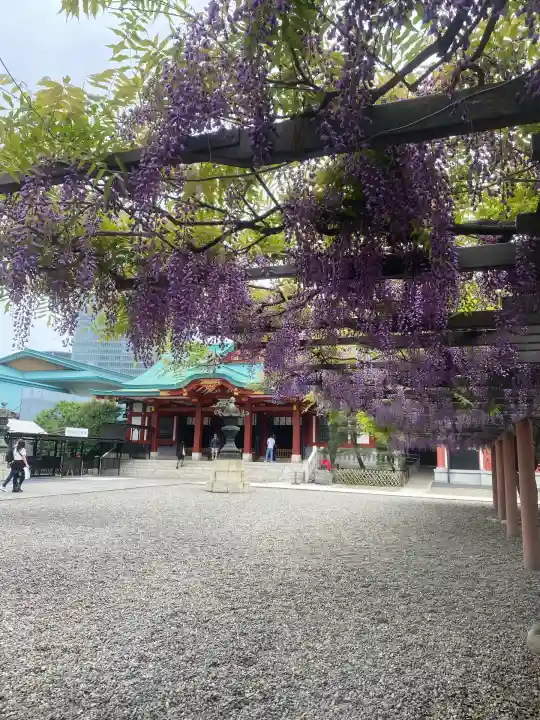 日枝神社の自然