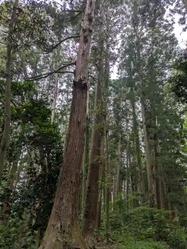 瑞鳳殿(宮城県)