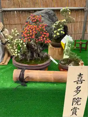 喜多院(埼玉県)