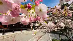 大報恩寺（千本釈迦堂）(京都府)