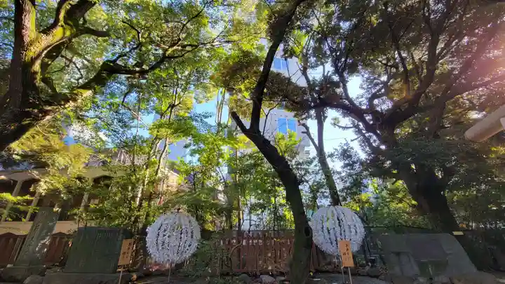 乃木神社の自然