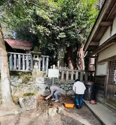 天鷹神社(岐阜県)