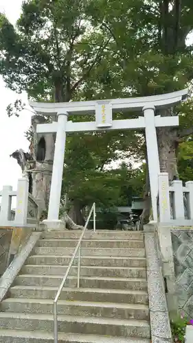 若宮八幡宮の鳥居