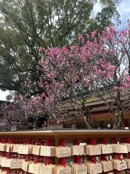 太宰府天満宮の絵馬