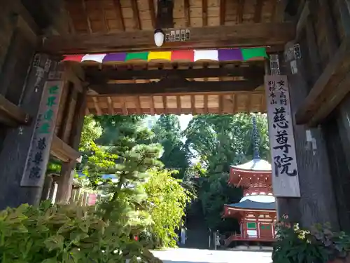 慈尊院(和歌山県)