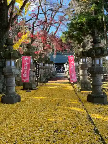 神炊館神社 ⁂奥州須賀川総鎮守⁂の景色