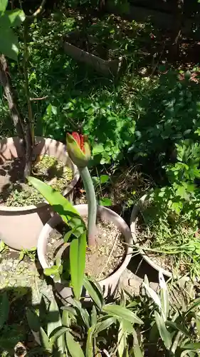 蔵前神社(東京都)