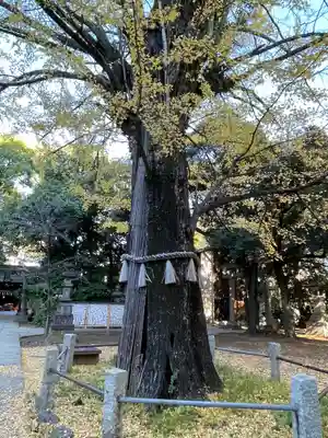赤坂氷川神社(東京都)