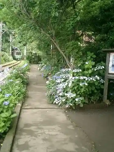 御霊神社の自然