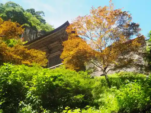宝珠山 立石寺の{uncategorized: "未分類", other: "その他", undefined: "問題あり", building: "その他建物", grave: "お墓", sacred_gate: "鳥居", guardian: "狛犬", statue: "像", buddha: "仏像", history: "歴史", nature: "自然", garden: "庭園", animal: "動物", pagoda: "塔", temizu: "手水舎", mountain_gate: "山門・神門", sanctuary: "本殿・本堂", subordinate: "末社・摂社", art: "芸術", scenery: "景色", jizo: "地蔵", ema: "絵馬", goshuin: "御朱印", omikuji: "おみくじ", items: "授与品その他", amulet: "お守り", goshuincho: "御朱印帳", eats: "食事", festival: "お祭り", votive_dance: "神楽", shichigosan: "七五三参", wedding: "結婚式", experience: "体験その他", initially: "初詣", around: "周辺", anti_infection: "感染症対策"}
