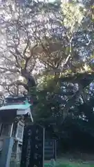 羽黒神社･三峯神社の建物その他