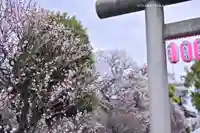 小村井 香取神社(東京都)