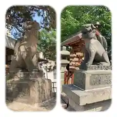 白石神社の狛犬