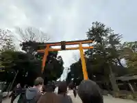 川越氷川神社(埼玉県)